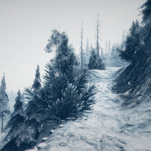 In the Embrace of Wintry Spells